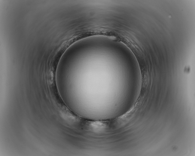 X0000091360183200708101427