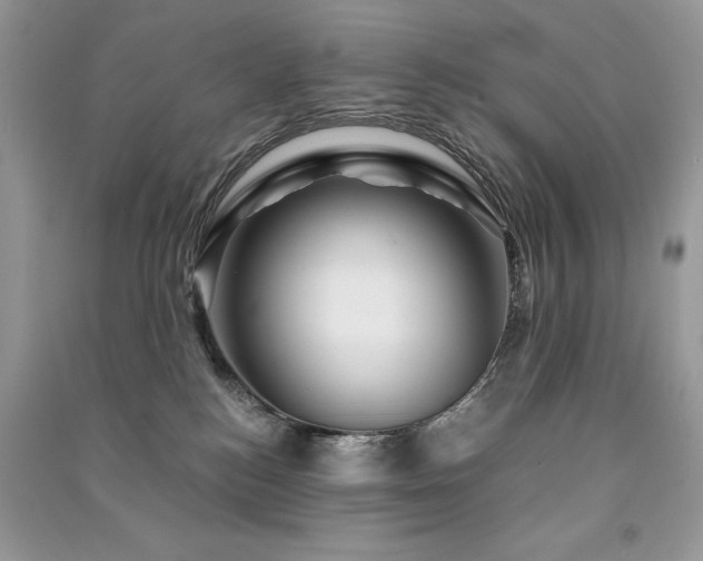 X0000091360184200708101427