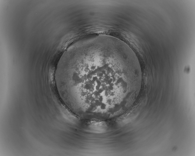 X0000091360185200708101427