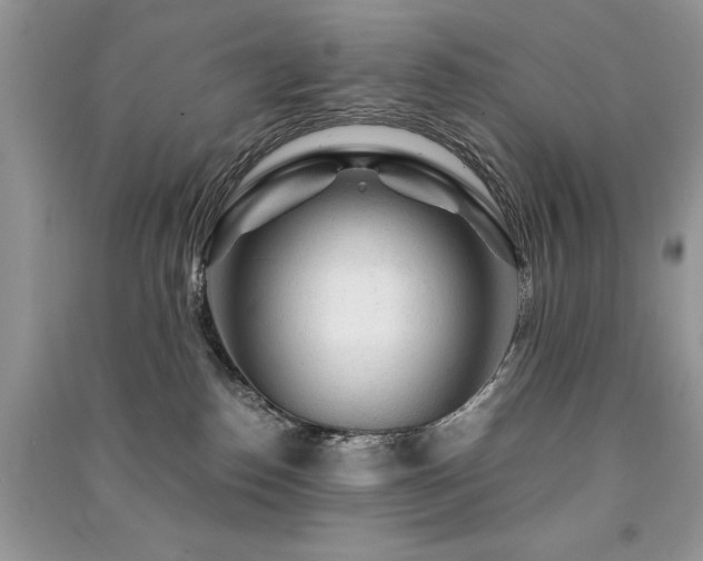 X0000091360186200708101427
