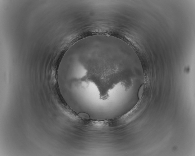 X0000091360187200708101427