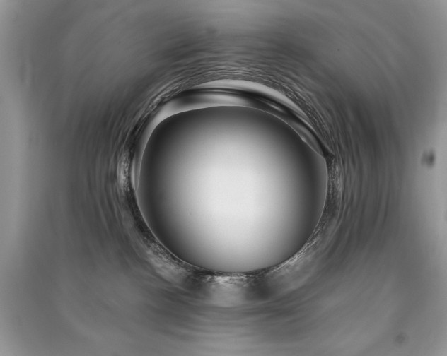 X0000091360188200708101427