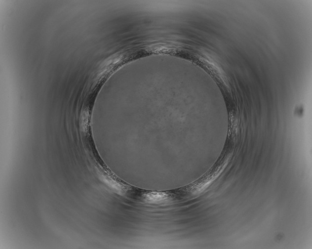 X0000091360189200708101427