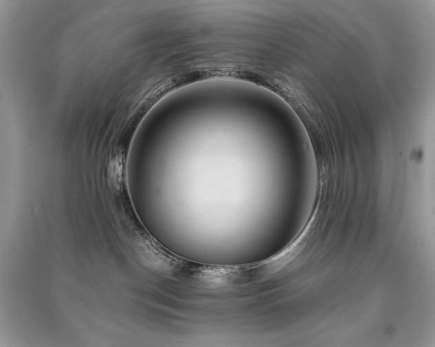 X0000091360190200708101427