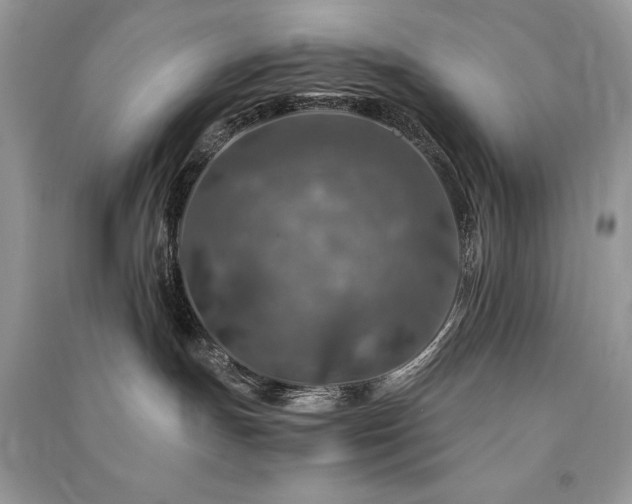 X0000091360191200708101427