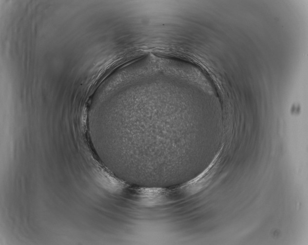 X0000091360192200708101427