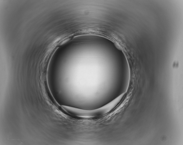 X0000091360193200708101426