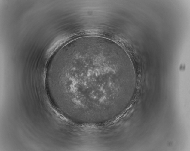 X0000091360194200708101426