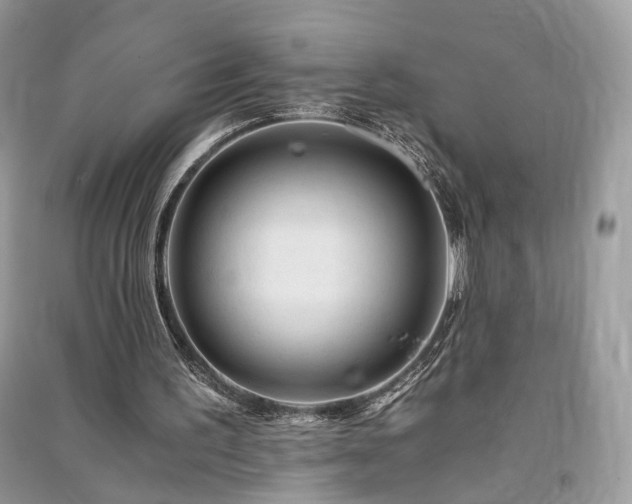 X0000091360195200708101426