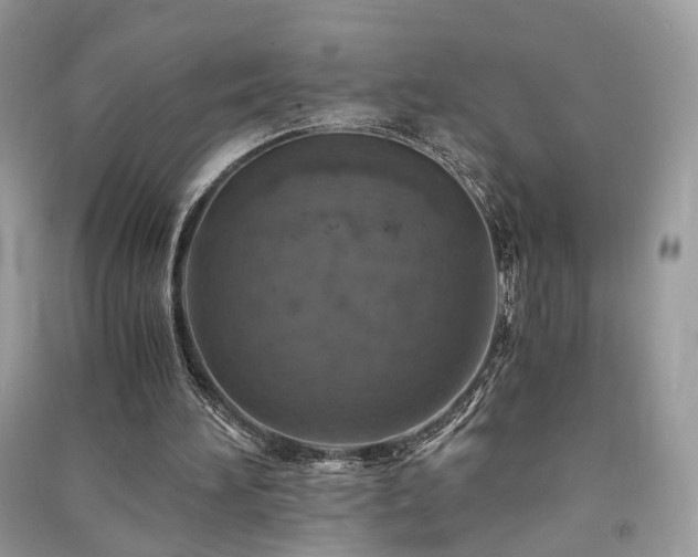 X0000091360196200708101426