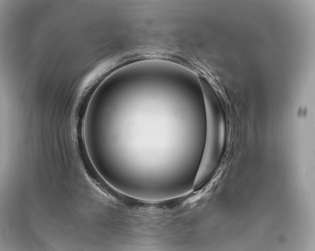 X0000091360197200708101426