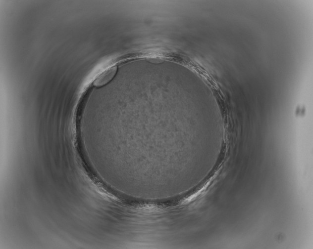 X0000091360198200708101426