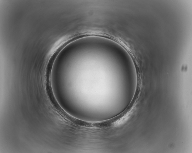 X0000091360199200708101426