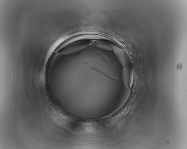 X0000091360200200708101426