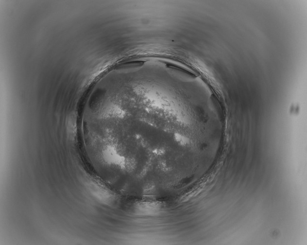 X0000091360202200708101426