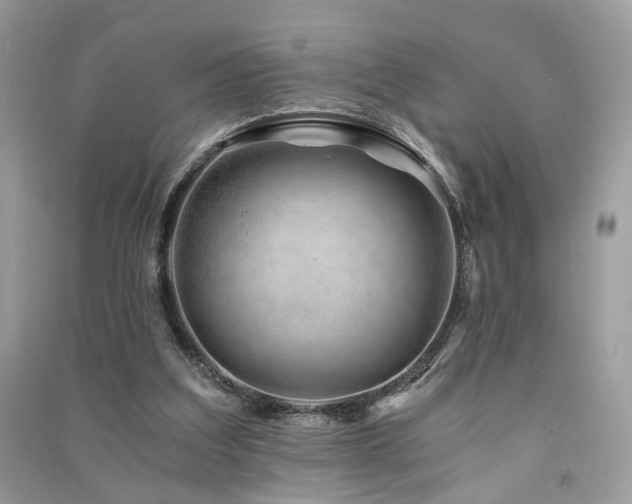 X0000091360203200708101426