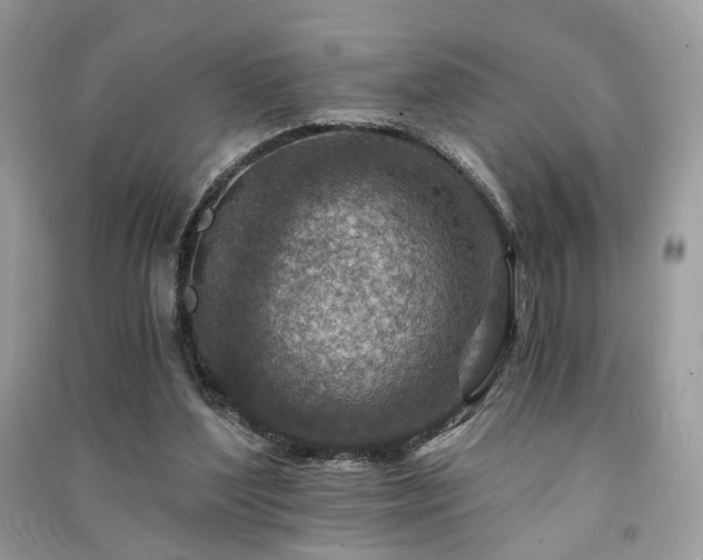 X0000091360204200708101426