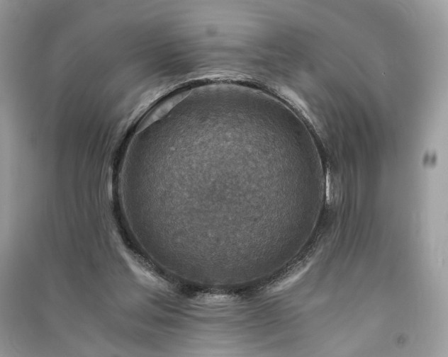 X0000091360205200708101426