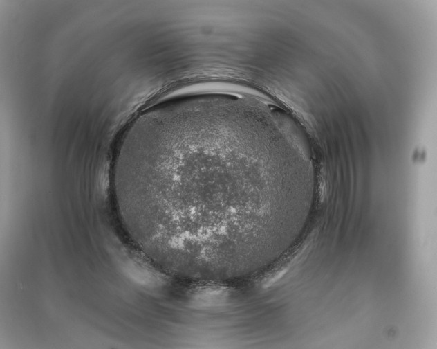 X0000091360206200708101426