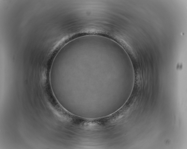 X0000091360208200708101426