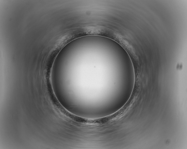 X0000091360209200708101426
