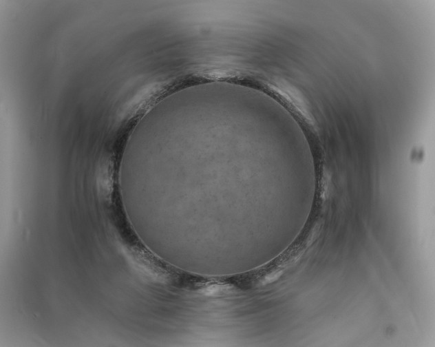 X0000091360210200708101426