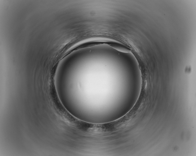 X0000091360211200708101426