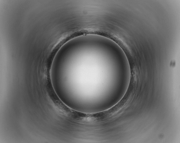 X0000091360212200708101426