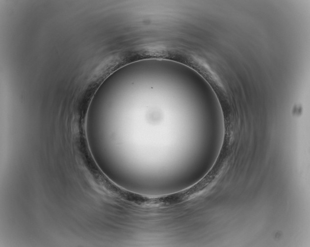 X0000091360213200708101426