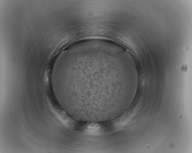 X0000091360214200708101426