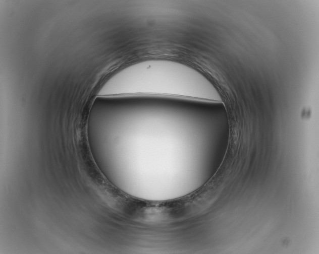 X0000091360216200708101426