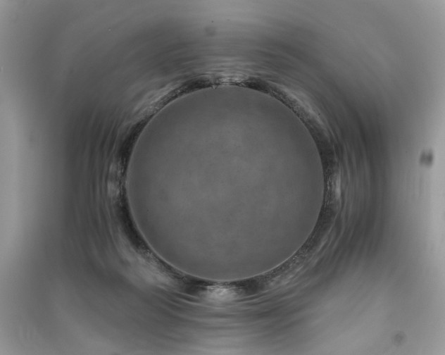 X0000091360218200708101426