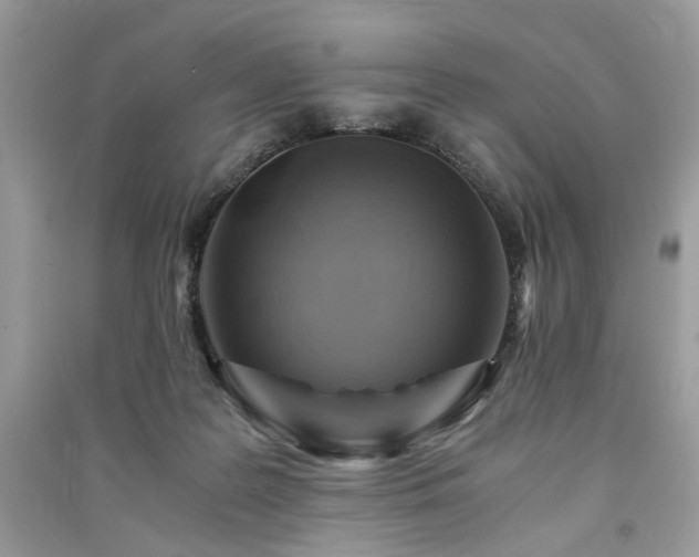 X0000091360219200708101426