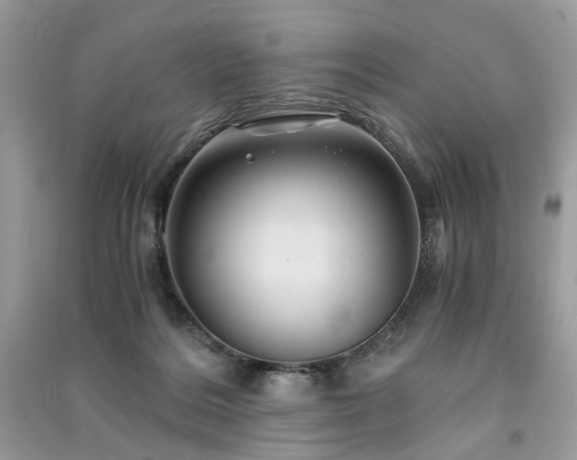 X0000091360220200708101426