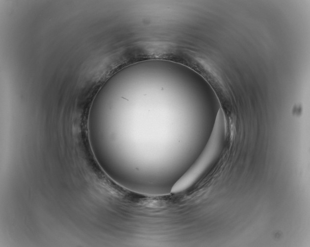 X0000091360221200708101426