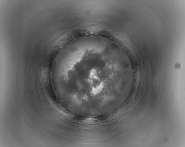 X0000091360222200708101426