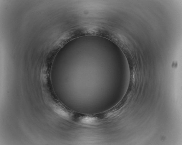X0000091360223200708101426