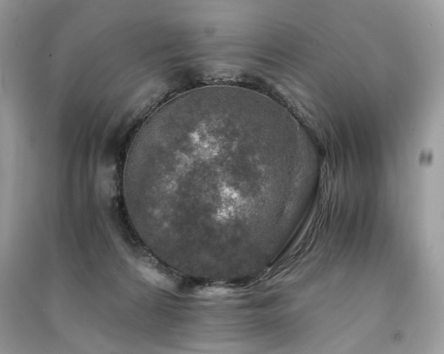 X0000091360224200708101426