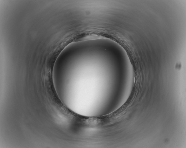 X0000091360225200708101426