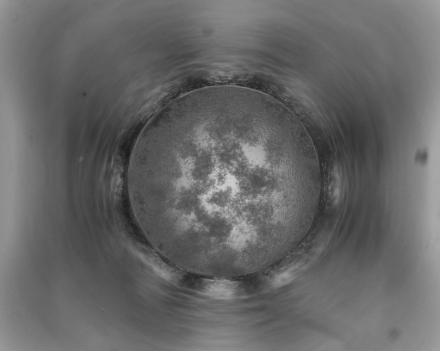 X0000091360226200708101426