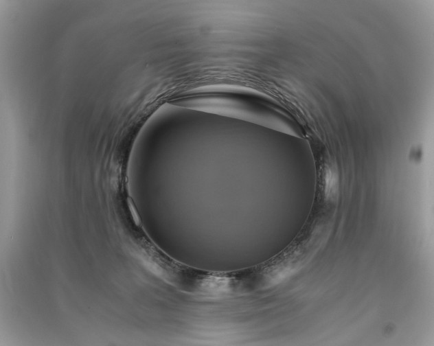 X0000091360227200708101426