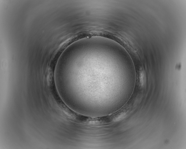 X0000091360228200708101426