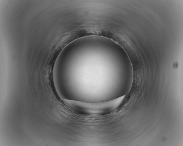 X0000091360229200708101426