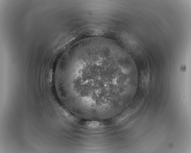 X0000091360230200708101426