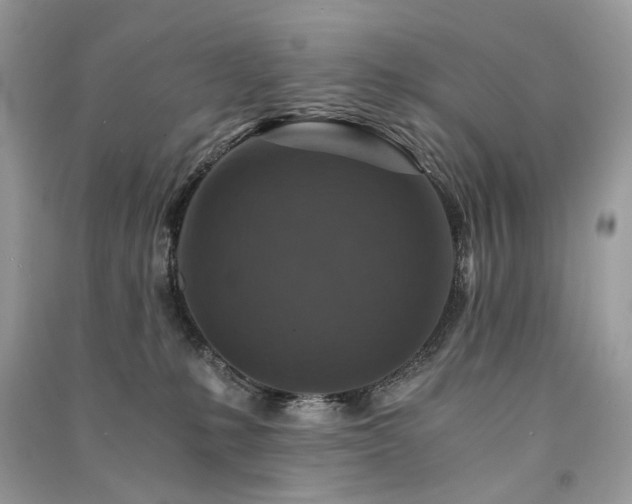 X0000091360231200708101426