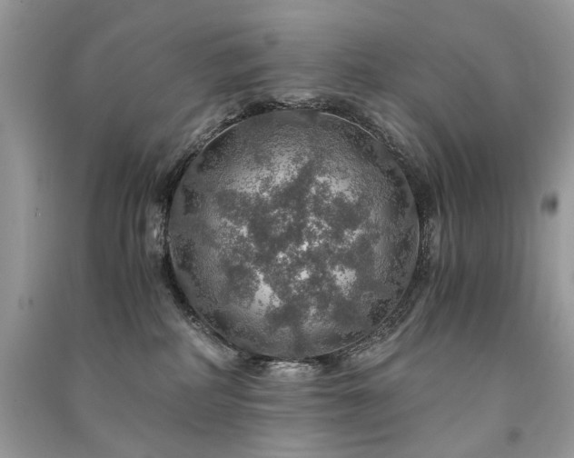 X0000091360234200708101426
