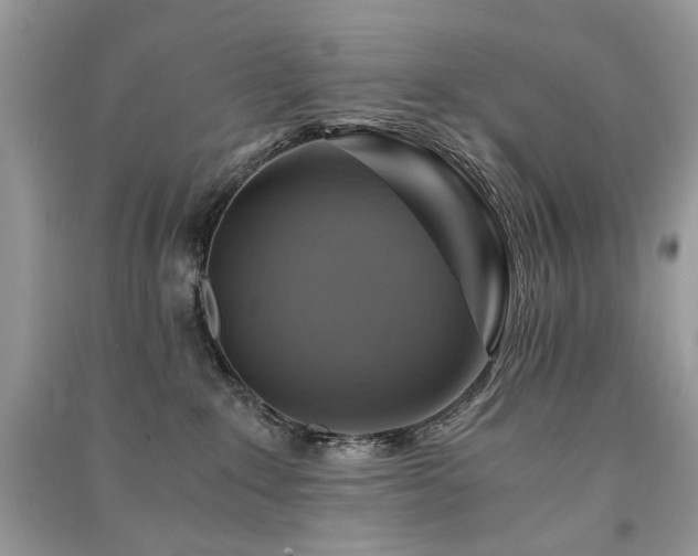 X0000091360235200708101426