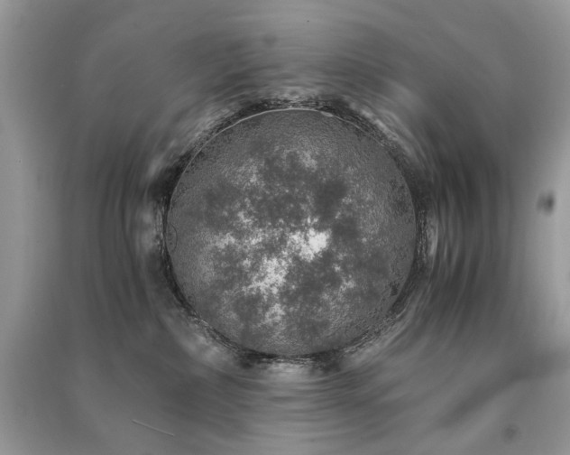 X0000091360236200708101426