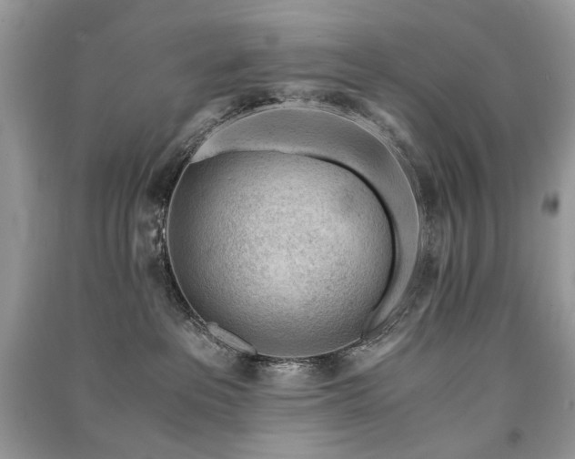 X0000091360237200708101426