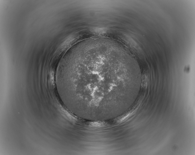 X0000091360238200708101426